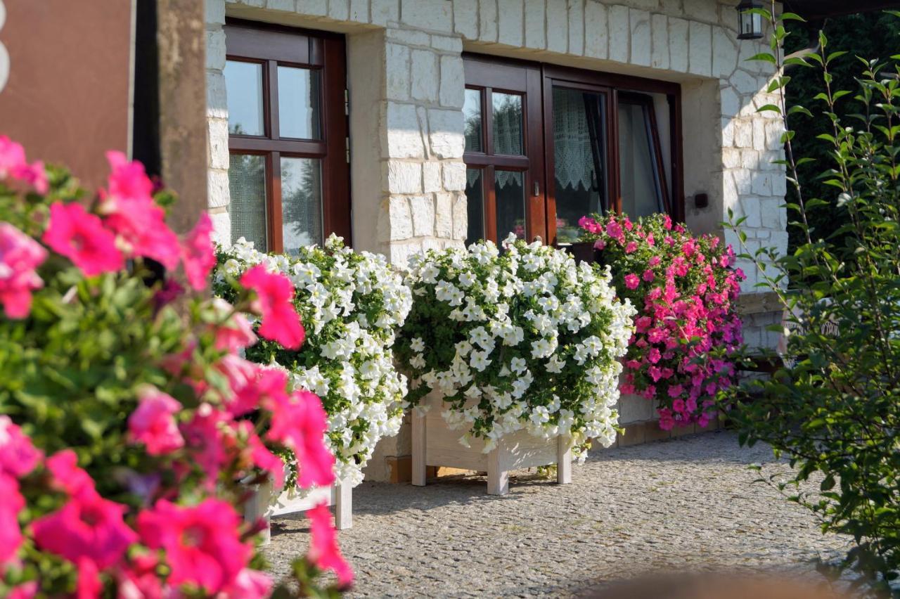 Homestay Milo,tu, Pokoje Goscinne